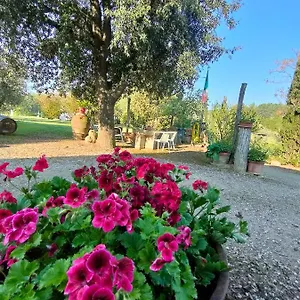  Séjour à la ferme Azienda Agricola Polveraia